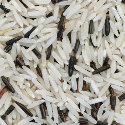 rice, rice mixture, basmati rice, wild rice, natural rice, fragrant rice, grain of rice, grain, food, nourishment, harvest, structure, rice, rice, basmati rice, basmati rice, basmati rice, basmati rice, wild rice, wild rice, wild rice, wild rice, wild rice