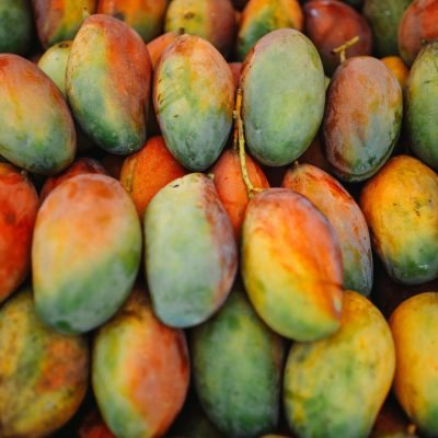 A vibrant collection of ripe mangoes showcasing their colorful natural hues.